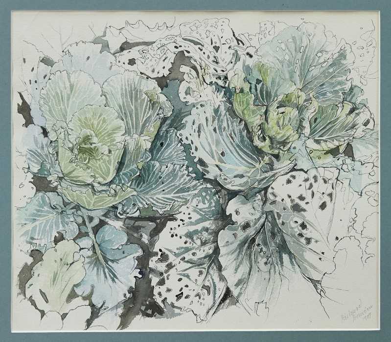 Lot 1148 - Richard Bawden pen, ink and watercolour - cabbage patch, signed and dated 1987, in glazed frame