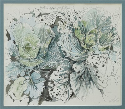 Lot 1148 - Richard Bawden pen, ink and watercolour - cabbage patch, signed and dated 1987, in glazed frame