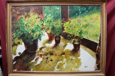 Lot 1018 - Joan Riley, 20th century oil on board - Wintering Geraniums, signed, titled and dated 1984 verso, framed, 89cm x120cm