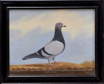 Lot 904 - Edward Henry Windred (1875-1953) oil on canvas - a racing pigeon, entitled ‘Messrs Luxford & Sons...