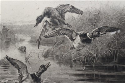 Lot 898 - Archibald J. Stuart Wortley (1849-1905) signed print - partridge shooting and other signed prints...