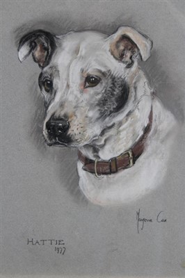 Lot 893 - Marjorie Cox (1915-2003) pastel portrait of a Staffordshire Bull Terrier, “Hattie”, signed...