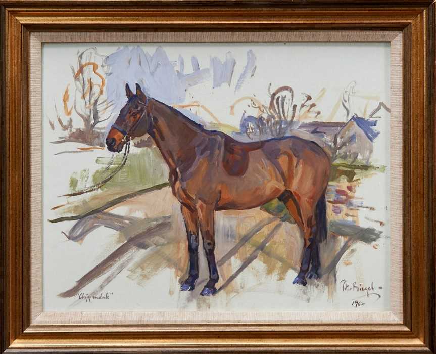 Lot 862 - *Peter Biegel (1913-1987) oil on board - a bay hunter, “Chippendale”, signed and dated 1962