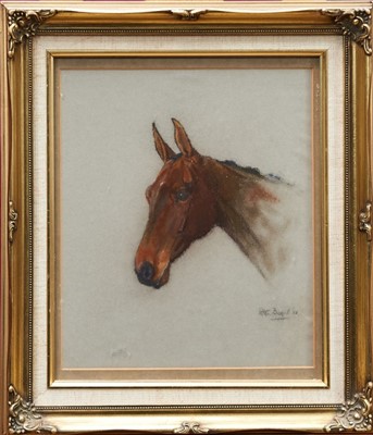 Lot 863 - *Peter Biegel (1913-1987) pastel portrait of a bay hunter, signed and dated ‘38