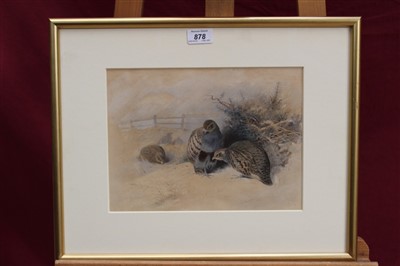 Lot 878 - Archibald Thorburn (1860-1935) hand coloured lithograph - English Partridge in snow...