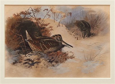 Lot 879 - Archibald Thorburn (1860-1935) hand coloured lithograph - Woodcock in snow...