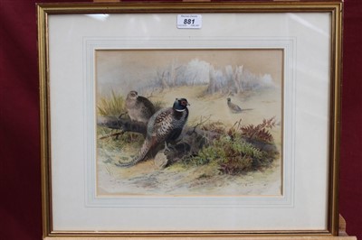 Lot 881 - Archibald Thorburn (1860-1935) hand coloured lithograph - Pheasants in woodland...