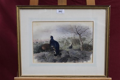 Lot 882 - Archibald Thorburn (1860-1935) hand coloured lithograph - Black Grouse among the stooks...
