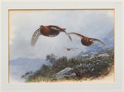 Lot 883 - Archibald Thorburn (1860-1935) hand coloured lithograph - Grouse over the heather...