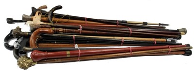 Lot 3651 - Group of walking sticks