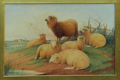 Lot 1361 - Attributed to Thomas Sidney Cooper, watercolour, sheep in a landscape, signed and dated