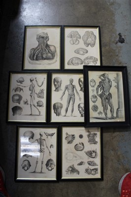 Lot 3631 - 19th century medical prints