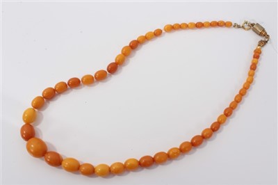 Lot 3355 - Old amber bead necklace with a string of graduated butterscotch amber beads, gross weight approximately 23 grams