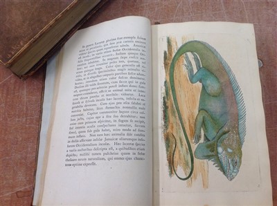 Lot 2527 - Books Vivarium Naturae, or The Naturalist's Miscellany - George Shaw and Frederick P Nodder, London 1790s four vols.