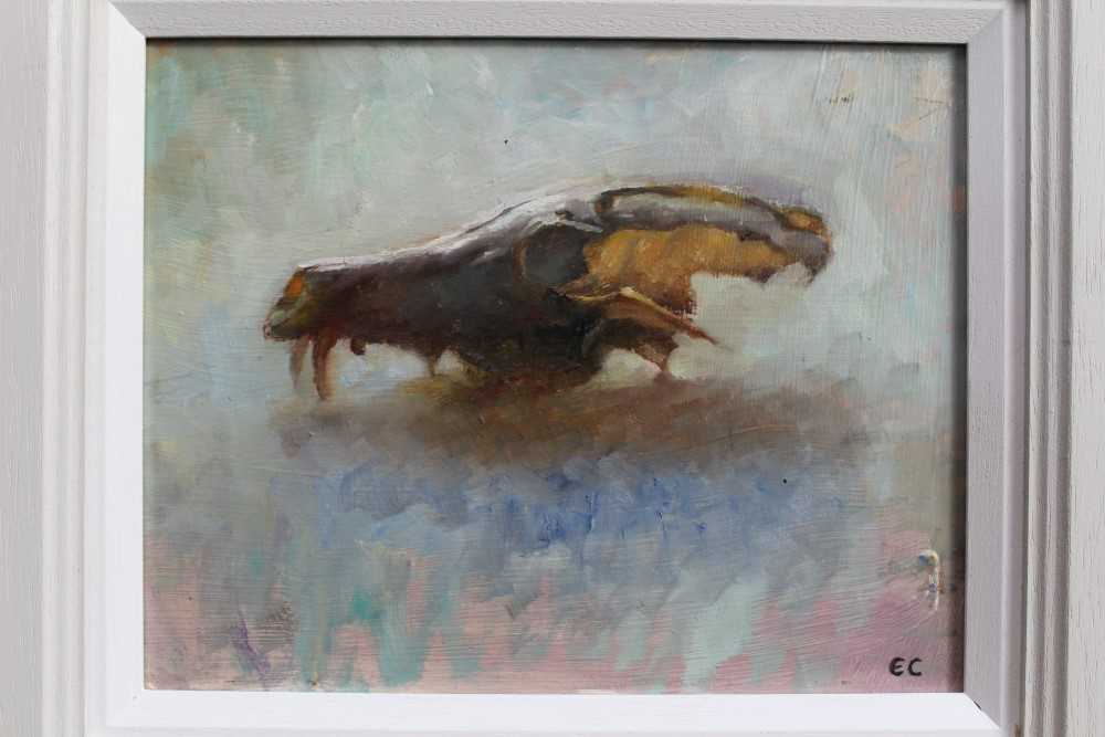 Lot 1090 - Ed Cooper oil on board - still life of a fox scull, initialled, framed