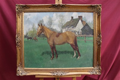 Lot 1219 - Clifford Charles Turner (1920-2018) oil on board - Horse Posed in Field, signed and framed, 59cm x 75cm