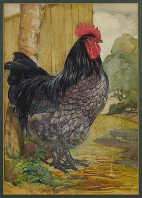 Lot 945 - George Robert Ruston watercolour - Cockerel