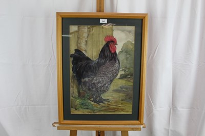 Lot 945 - George Robert Ruston watercolour - Cockerel