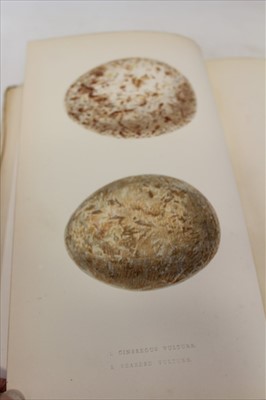 Lot 2620 - Books - Charles Robert Bree, A History of the Birds Of Europe, four presentation volumes to Lady Henniker of Thornham Hall, volume one inscribed ‘Anne Henniker from the Author Nov. 7. 1863’