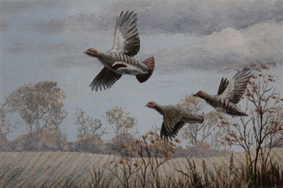 Lot 1552 - Mark Chester pair of acrylic on board - French and English Partridges, signed, in glazed frames