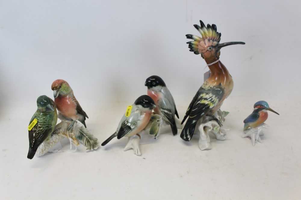 Lot 2089 - Group of four Karl Ens Birds- Kingfisher, finches and two others (4)