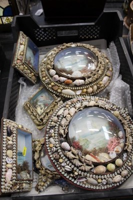 Lot 3518 - Group of souvenir sea shell frames