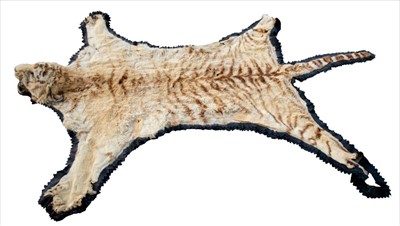 Lot 832 - Early 20th century tiger skin rug