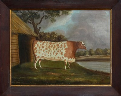 Lot 1313 - John Miles of Northleach, 1830s oil on canvas - a Durham Short Horn, signed and dated 1836, labels verso, in oak frame