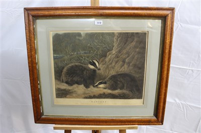 Lot 1518 - Thomas Bennet 19th century engraving by Charles Turner - Badgers, published by Ackermann 1831, in glazed maple veneered framed, 41cm x 51cm