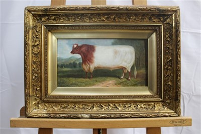 Lot 1390 - Continental school, 20th century, oil on board - a prize bull, in gilt frame, 14cm x 26cm