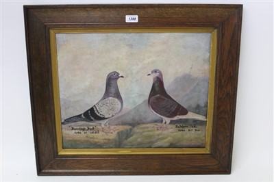 Lot 1398 - English school, mid-20th century, oil on canvas - racing pigeons, "Burnleys Best" and "Seldom Led", inscribed, in oak frame, 40cm x 50cm