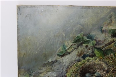 Lot 1403 - Attributed to Oliver Clare (1853-1927) oil - a birds nest and flowers on a mossy bank, unframed, 29cm x 37cm