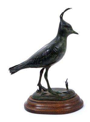 Lot 1214 - Patricia Northcroft (contemporary), patinated bronze figure of lapwing, signed to cast and numbered to label on underside 263/300 , on wooden plinth 15cm total height