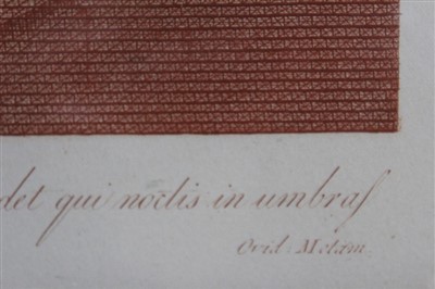 Lot 1493 - Carlo Lasinio (1759-1838) set of eight plates in sanguine on thick woven paper - "Sette Pianti dipinti da Raffaele d'Urbino nella Sala Borgia del Vaticano", Mercurius, Sol, Luna, Mars, Venus, Juppi...