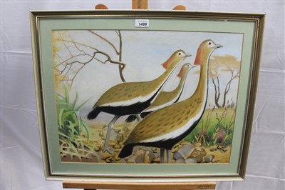 Lot 1499 - Keith Henderson (1883-1982) oil on board - three African Bustards, signed, in glazed frame, 41cm x 55cm 
 Provenance: The Rowley Gallery