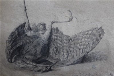 Lot 1584 - Jean-Maxime Claude (1823-1904) pencil drawing - A Bittern, after the work by Oudry, signed, inscribed, dated 1875 and bearing the artists stamp, in glazed gilt frame, 30cm x 40cm