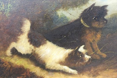 Lot 1610 - Edward Armfield (1817-1896) pair of oil so n canvas - Terriers after vermin, one signed, unframed, 30cm x 61cm