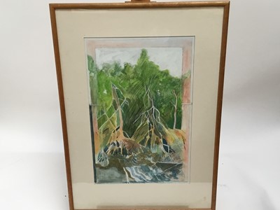 Lot 58 - John Doubleday watercolour - Mangroves, Cairns, in glazed frame