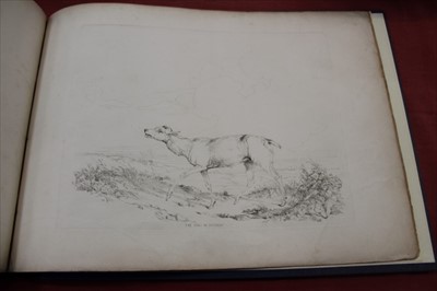 Lot 2414 - Mrs David Hanbury - Day in the Diary of a Stag, illustrated by Edward Robert Smythe, 1846, complete but with restorations, modern card binding