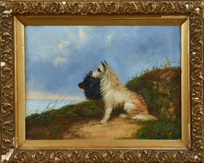 Lot 892 - Edward Armfield (1817-1896) oil on canvas - two terriers on a cliff, signed, in gilt frame, 36cm x 49cm