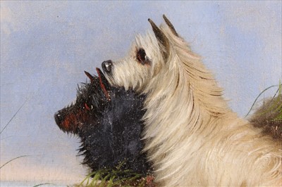 Lot 892 - Edward Armfield (1817-1896) oil on canvas - two terriers on a cliff, signed, in gilt frame, 36cm x 49cm
