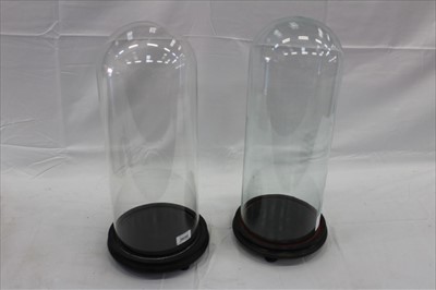 Lot 3656 - Pair of glass domes on ebonised wood bases (2)