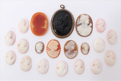 Lot 3343 - Collection of carved shell unmounted cameos and a black cameo pendant