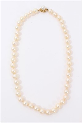 Lot 3447 - Cultured pearl necklace with a single string of 8mm cultured pearls on 18ct gold clasp. 42cm length.