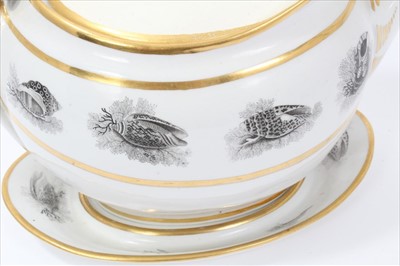 Lot 15 - 19th century English tea wares, to include a Chamberlain Worcester, circa 1815, with moulded floral decoration and armorial crest of a collared elephant with the motto 'TRY', printed mark inside of...