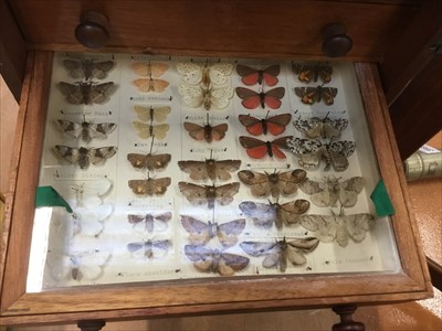 Lot 3877 - Six-drawer cabinet of moths and butterflies, all labelled