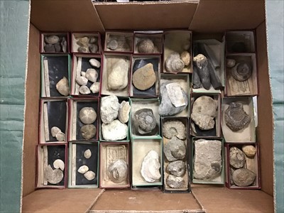 Lot 1891 - Extensive Victorian collection of minerals and fossils