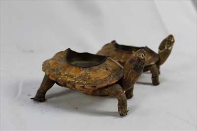 Lot 833 - Pair of novelty Tortoise ashtrays