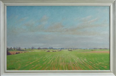 Lot 1159 - David Britton, contemporary, oil on canvas - ,Wormingford Airfield, signed, framed, 75.5cm x 120cm