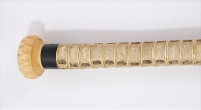 Lot 685 - 19th century marine ivory and shark vertebrae walking stick, with carved roundel and ebony collar, tapering shaft with brass ferrule, 78cm long